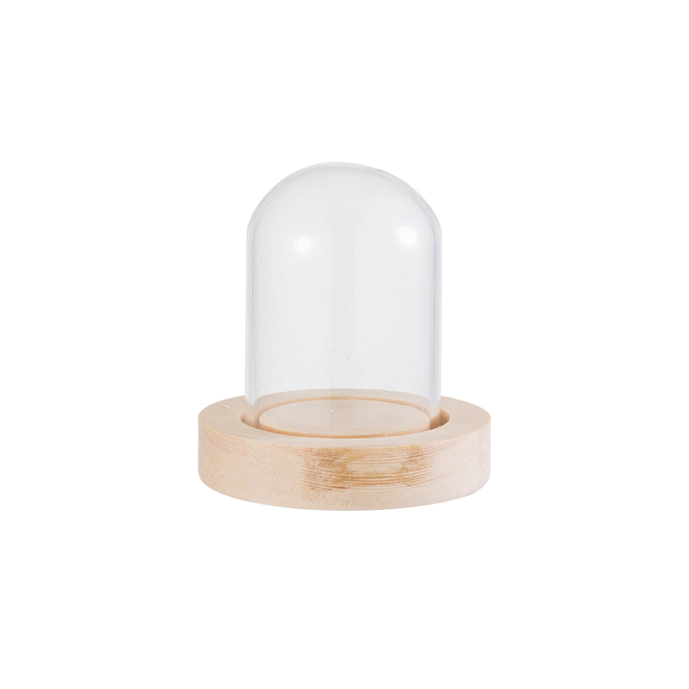 Reusable Bottle - Luci decorative per la casa, terrario,