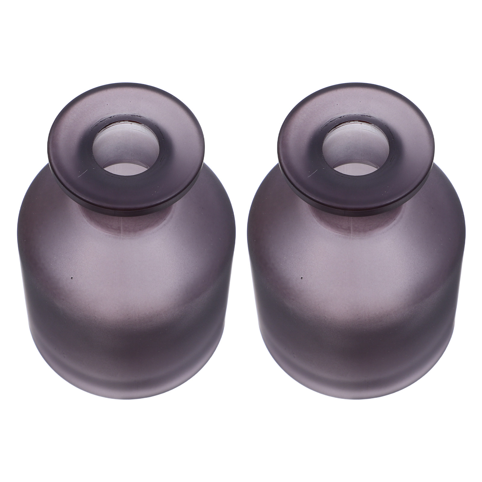 2 flaconi diffusori in vetro g - Reusable Bottle recensione e prezzo