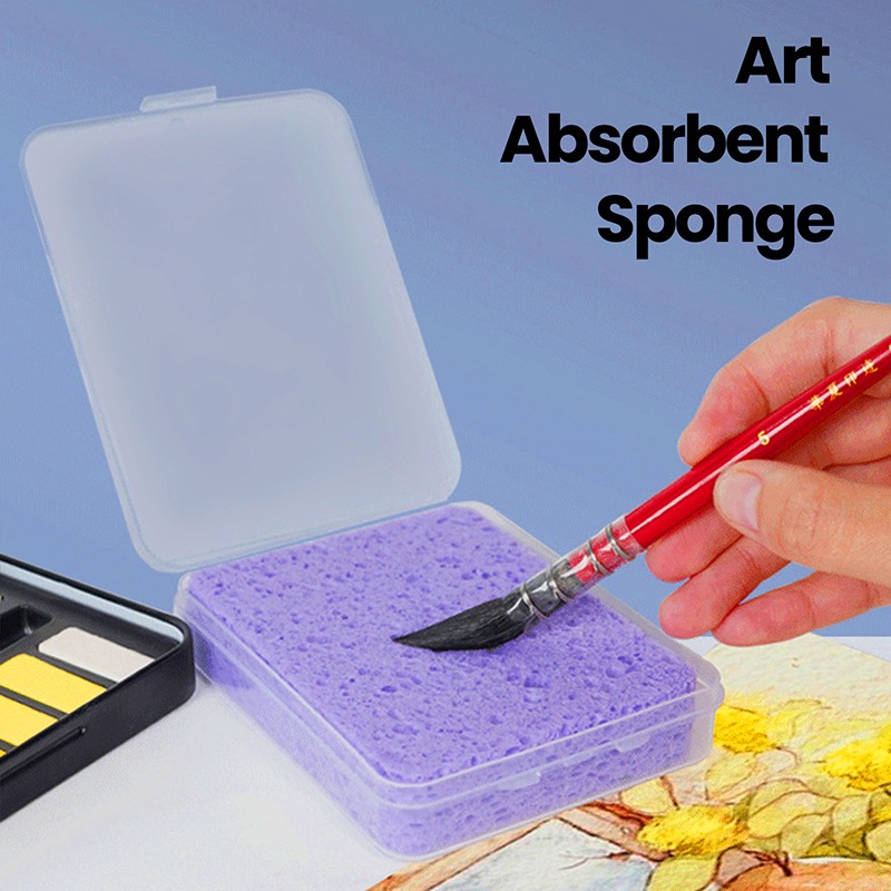 Spugna Assorbente per Pulizia  - Eco Sponge recensione e prezzo