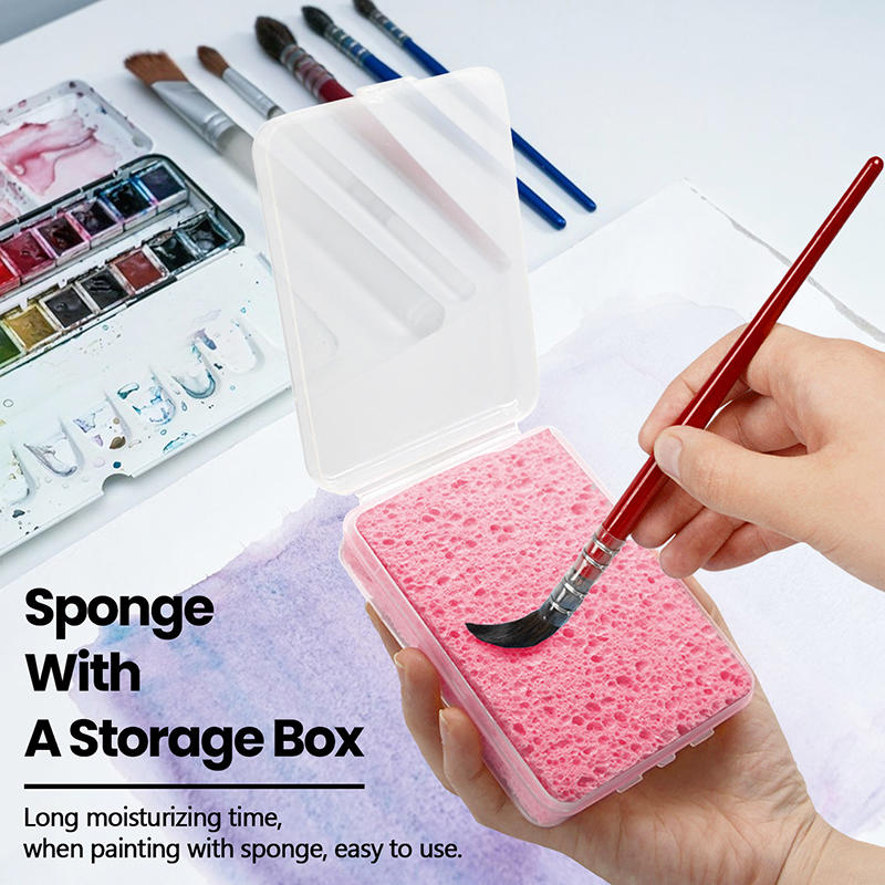 Spugna Assorbente per Pulizia  - Eco Sponge recensione e prezzo