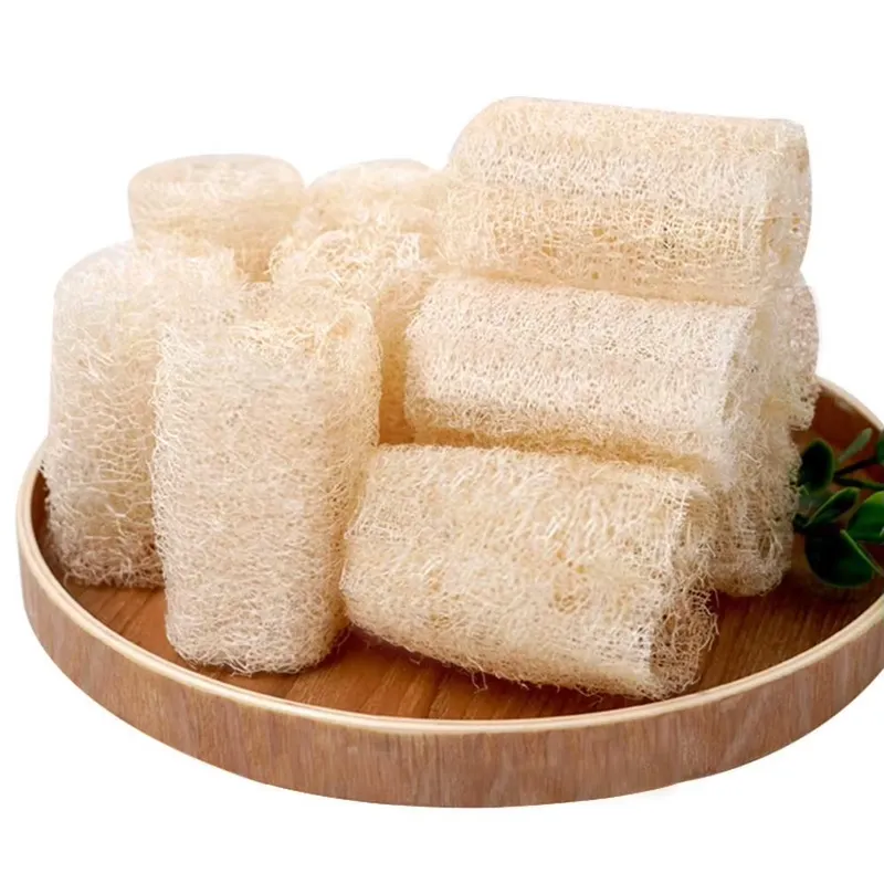 Spazzola per Piatti in Luffa N - Eco Sponge recensione e prezzo